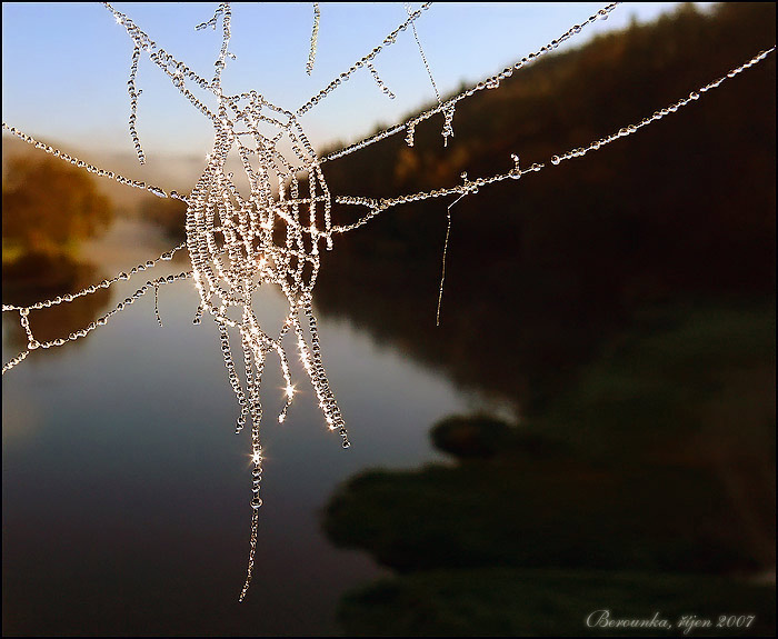 Pavouci asi nemaji radost