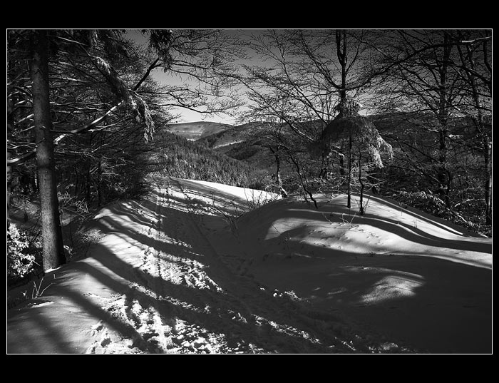 Cesta protkaná stíny