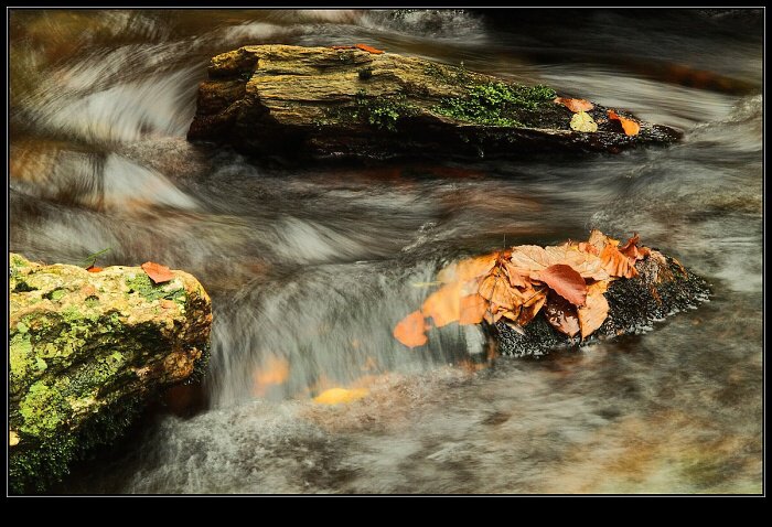 podzimní potůček (6)