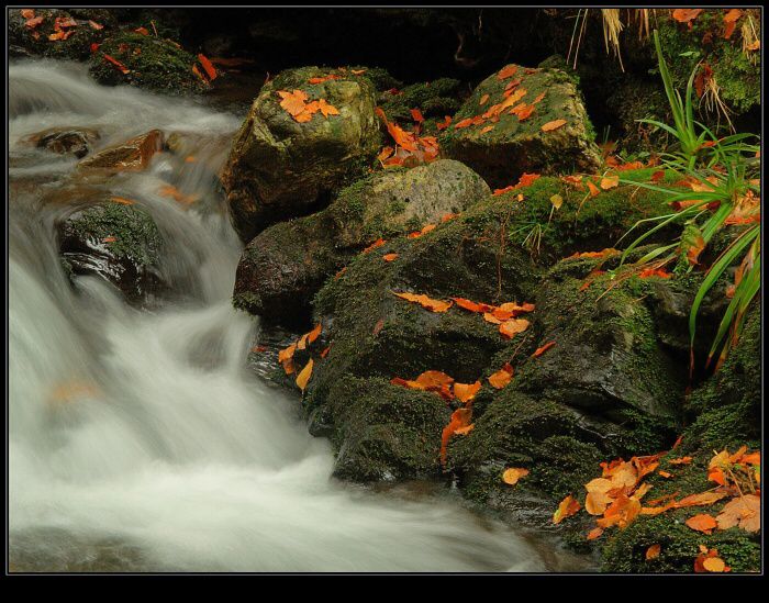 podzimní potůček (7)