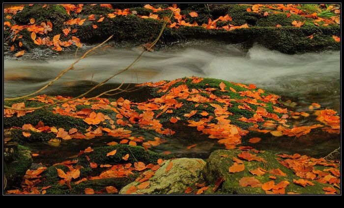 podzimní potůček (8)