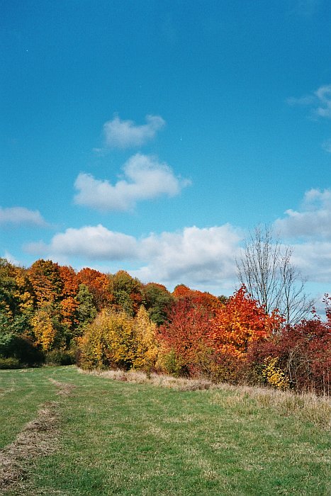 Podzimní slunečný den