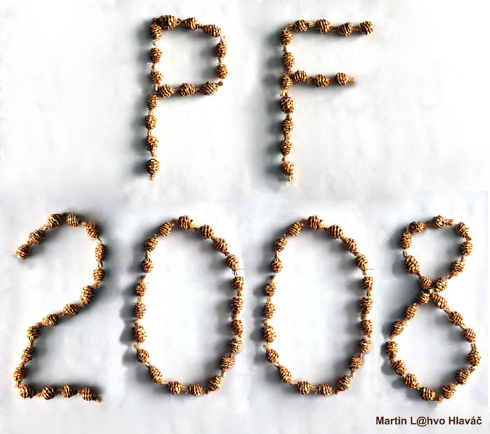 PF2008