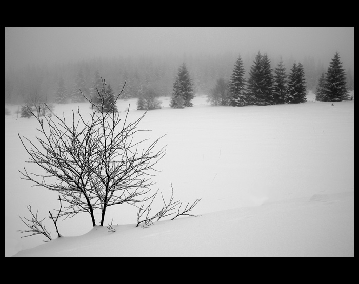 Když se ticho rozhostí...