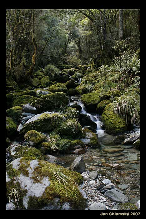 Kahurangi NP (Vzpomínky na Zéland)