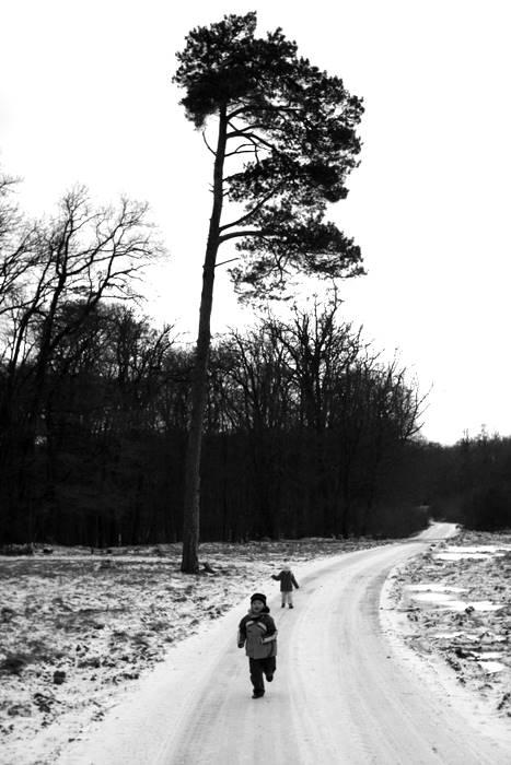 Vianočná prechádzka