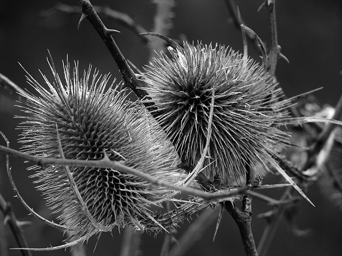 Milenci na konci podzimu