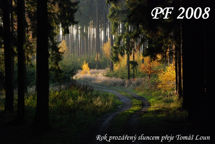 PF 2008