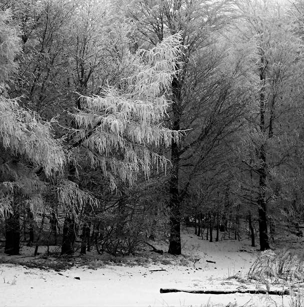 Pezinská baba 2007