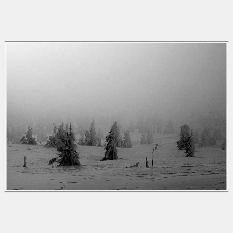 Zadní planina