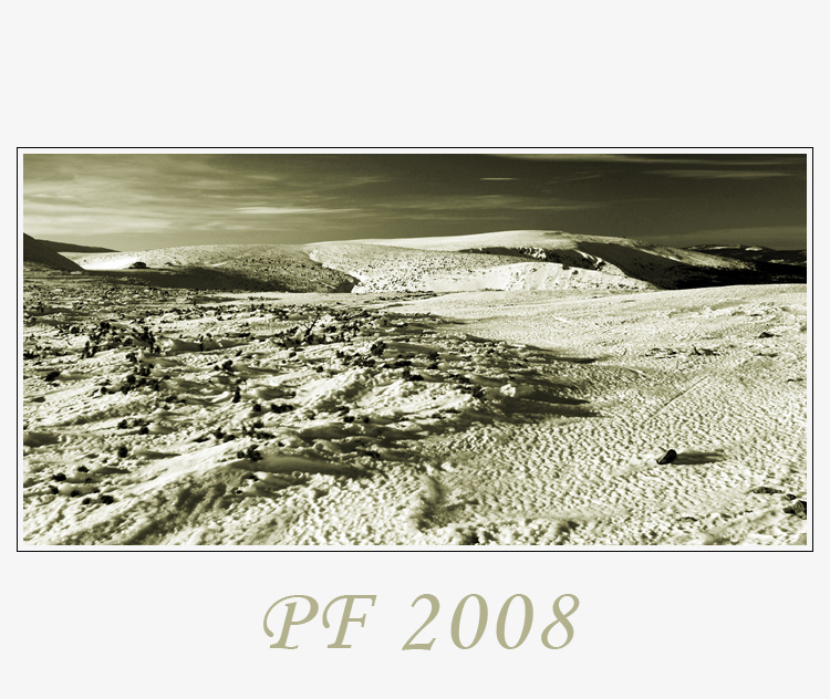 PF2008
