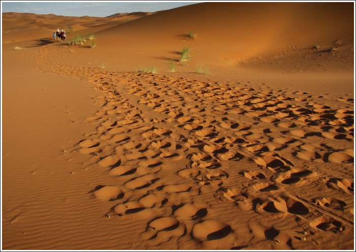 Erg Chebbi VIII.