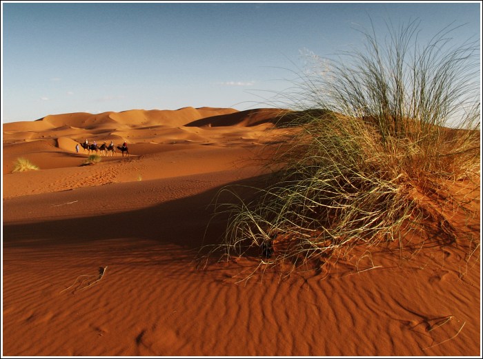 Erg Chebbi X.
