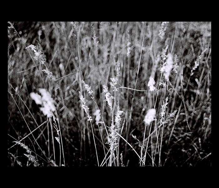 = S tou tvojí náladou ... =