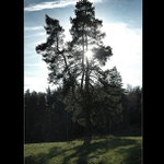 .: V PROTISVĚTLE :.