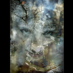 .: MY STATELINESS :.