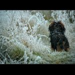 .: ČEKÁME NA ZAJÍCE :.