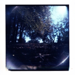 A krtek si vytřel zrak a pravil: hele vole vono už neprší!