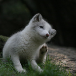 "Ještě kousek  - a už to půjde!"