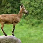 "Chci mít přehled!"