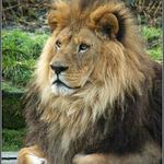 čekání na ní