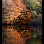 Ohlednuti za podzimem