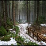 Pěšina do ztracena