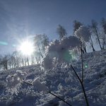 první zimní mrazíky