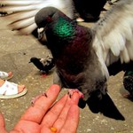 Strach je prekonaný !