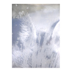 Anděla opět viděti.... :-)