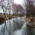Fascination of the river