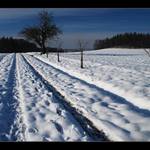 ...cesta do neznáma....