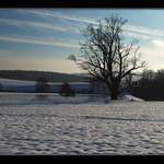 ....u rybníka pod Byšičkami...