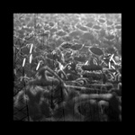 myšlenkové propojenííí II