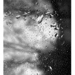 Když déšť kreslí po oknech