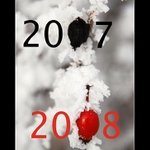 experiment pred pulnoci