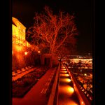 Zahrady pod Petrovem