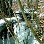 zelezna studienka :)