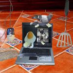 Mám hlad a nechce se mi od počítače.