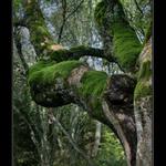 To ještě nebyla zima...