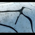 Přelet nad studeným krajem...