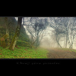 V kraji pána prsteňov