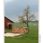 ranní Rakousko 2006