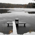 Rybník V (a už poslední)