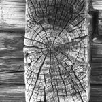 Konkrétní abstrakce