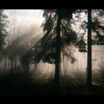 mlha stokrát jinak 028