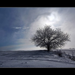 (:          ZIMA    BŔŔŔ           :)