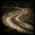 The Way