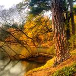 Průhonický park a sbohem podzimu