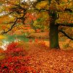 Ať se vzpomínky na podzim rozzáří